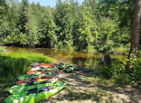 Betsie River Canoes & Campground