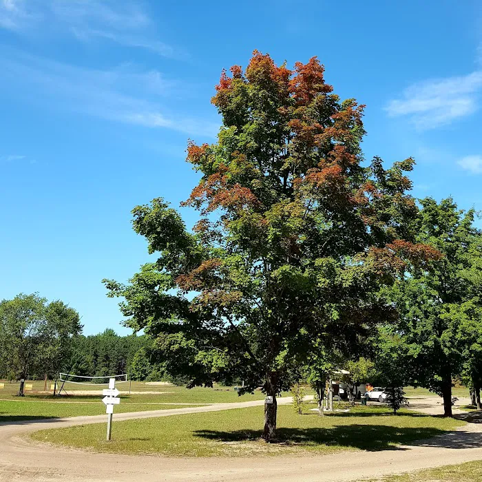 Betsie River Canoes & Campground Picture 8