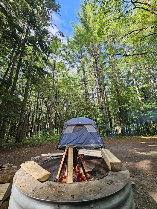 Platte River State Forest Campground Picture 3