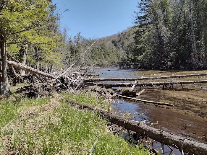 Platte River State Forest Campground Picture 2