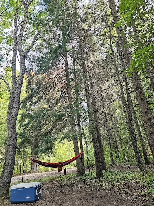 Platte River State Forest Campground Picture 4