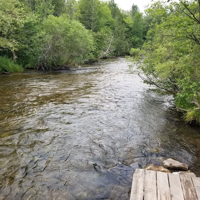 Veterans Memorial State Forest Campground Picture 1