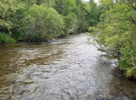 Veterans Memorial State Forest Campground