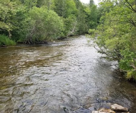 Veterans Memorial State Forest Campground