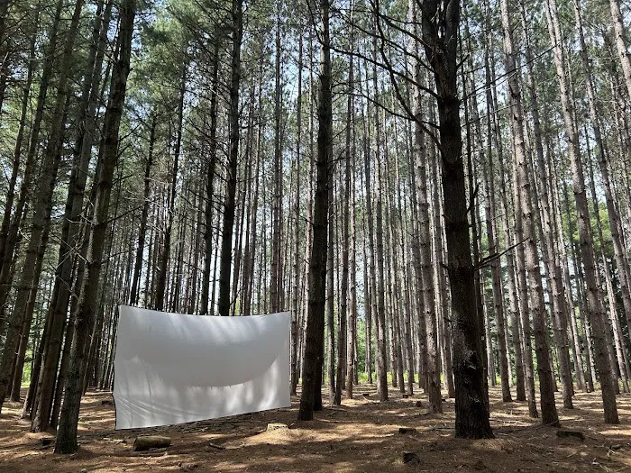 Leelanau Pines Campground Picture 4