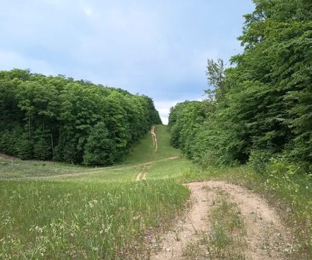 Smerczak Property