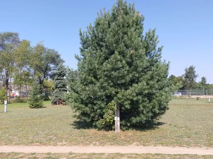 Boyne Country RV Park and Campground Picture 2