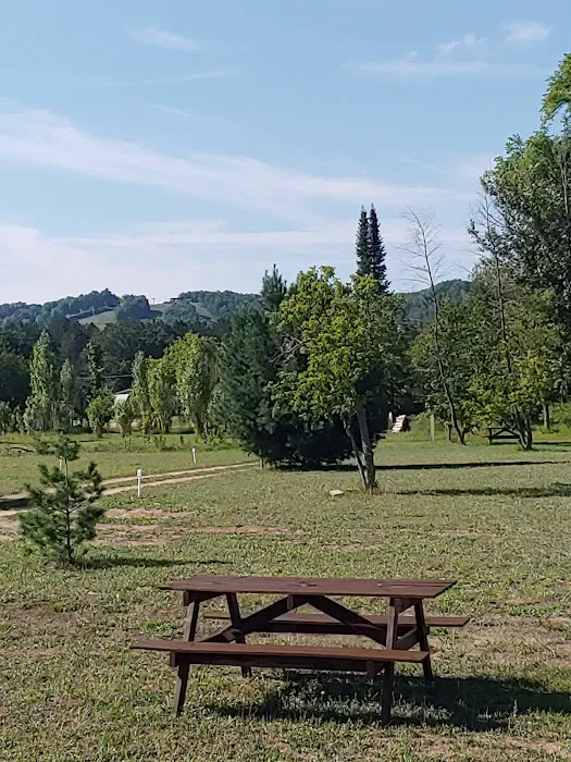 Boyne Country RV Park and Campground Picture 4