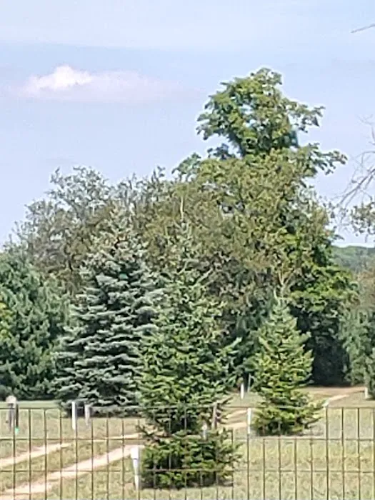 Boyne Country RV Park and Campground Picture 5