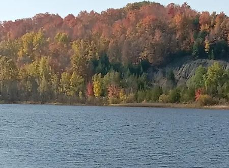 Wooden Shoe Campground