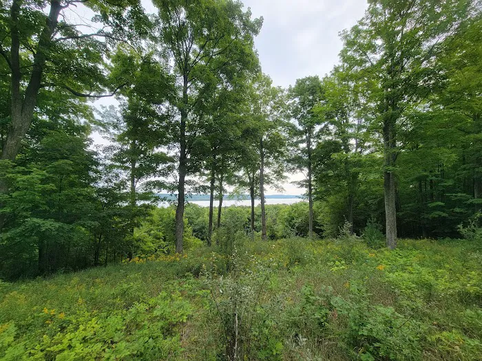 Charlevoix County Whiting Park Picture 7