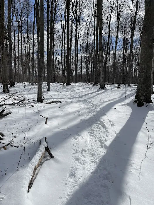 Charlevoix County Whiting Park Picture 9