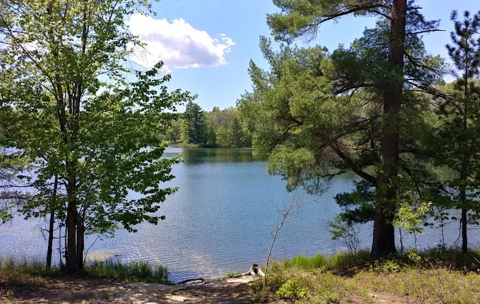 Town Corner Lake State Forest Campground Picture 1