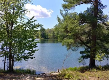 Town Corner Lake State Forest Campground