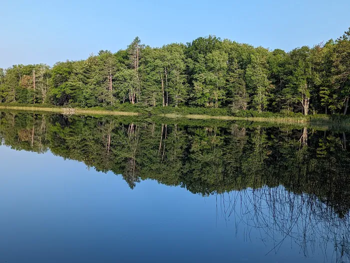 Town Corner Lake State Forest Campground Picture 10