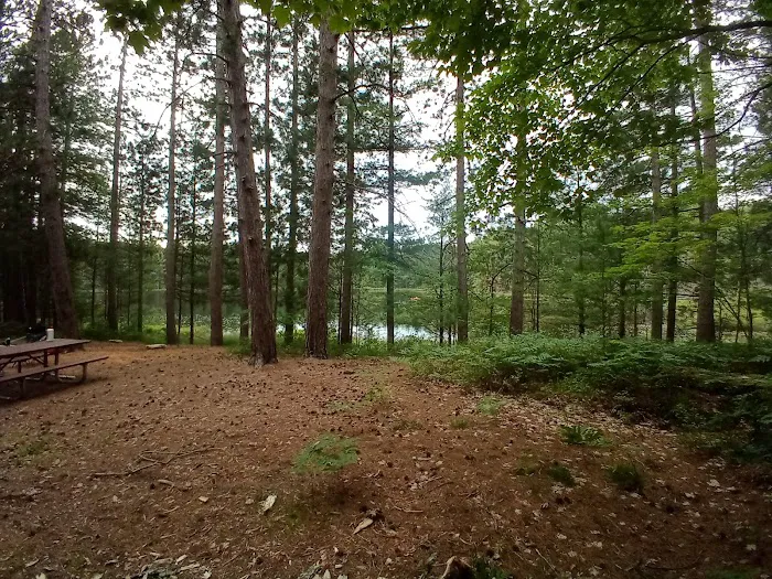 Round Lake State Forest Campground Picture 5