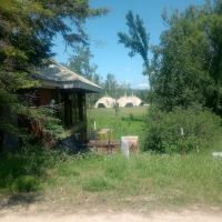 Pigeon Bridge State Forest Campground ico