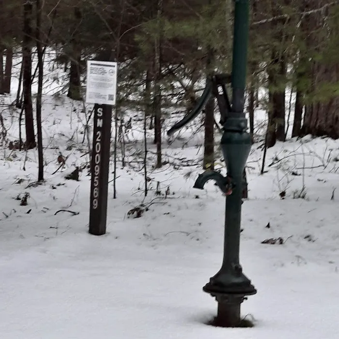 Pigeon Bridge State Forest Campground Picture 3