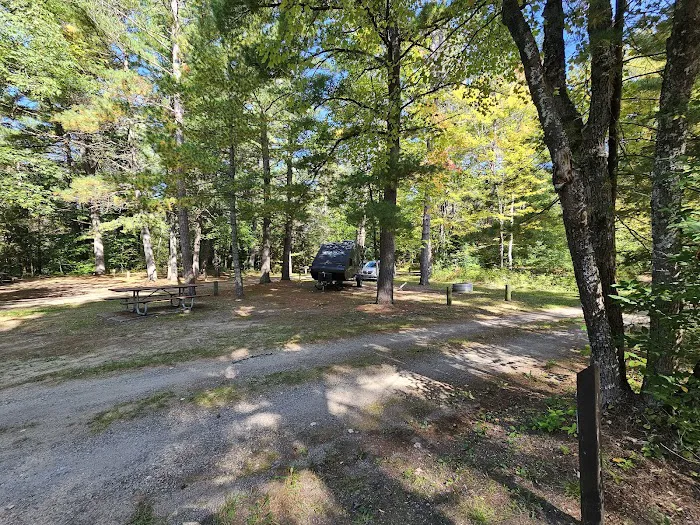 Pigeon Bridge State Forest Campground Picture 9
