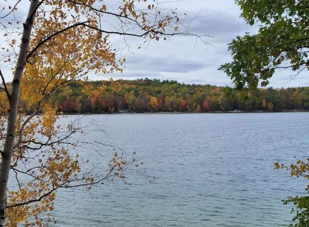 Ess Lake State Forest Campground