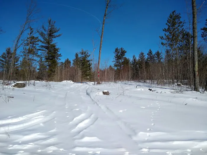 Ess Lake State Forest Campground Picture 7