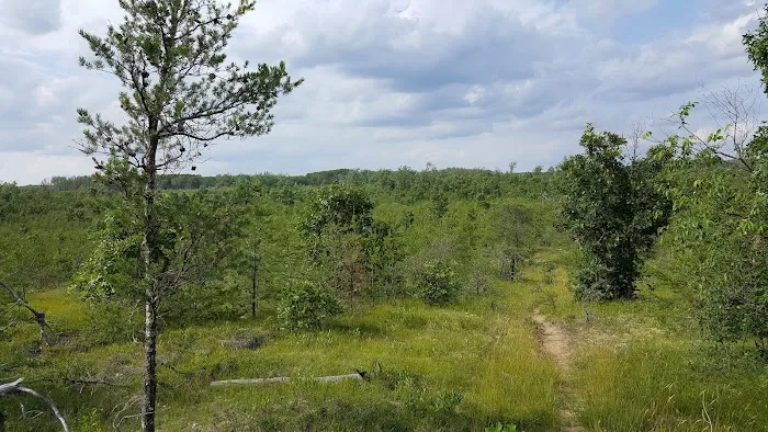 Tomahawk Lake State Forest Campground Picture 3