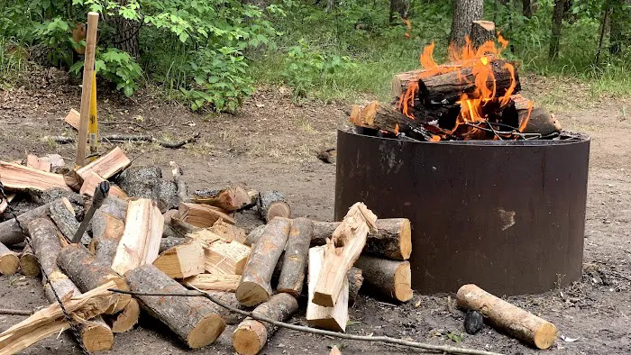 Shoepac Lake State Forest Campground Picture 9