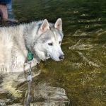 Indian Reserve Campground