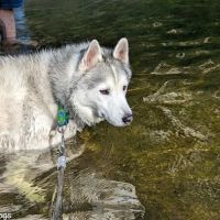 Indian Reserve Campground ico