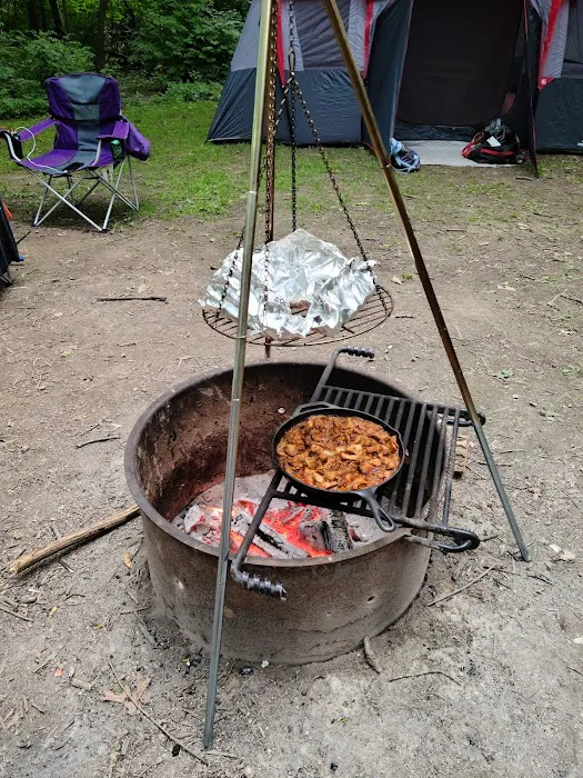 Hammel Woods Campground Picture 1