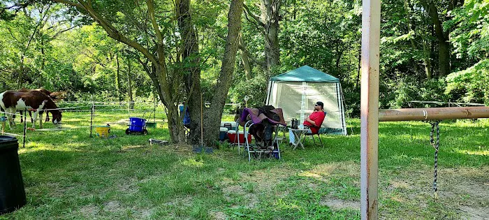 Equestrian Campground Picture 6