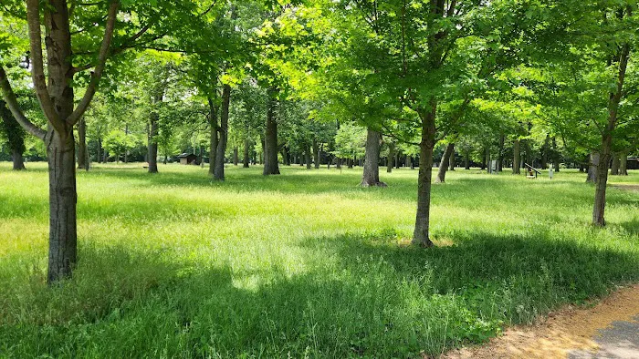 Chippewa Campground Picture 9