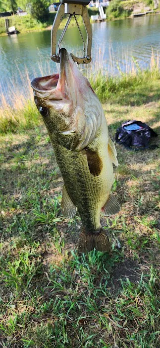 Lakepoint Picture 6