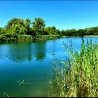 Area Number One Outdoor Club ico