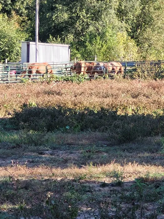 KLos Ranch Picture 7