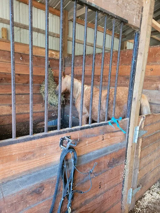 KLos Ranch Picture 10
