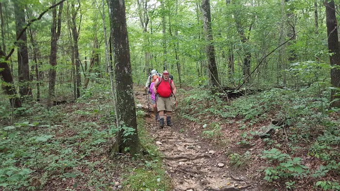 Hawk Mountain Shelter Picture 2
