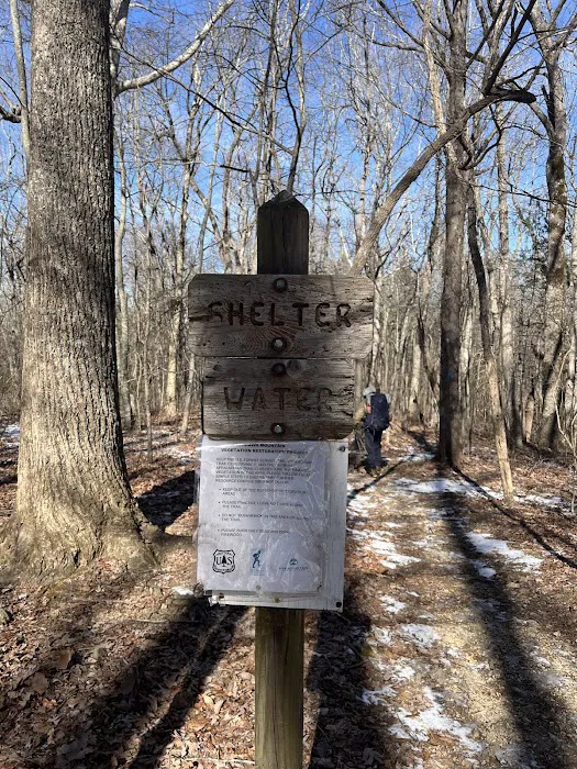 Hawk Mountain Shelter Picture 5