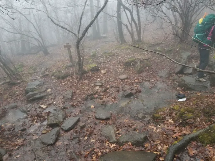 Springer Mountain Shelter Picture 6