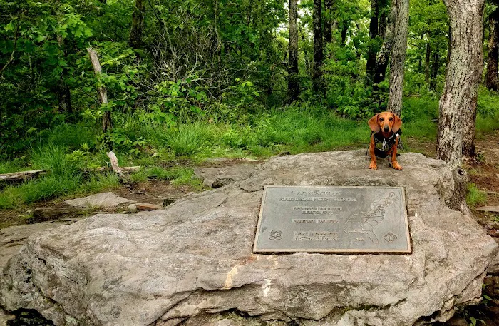 Springer Mountain Shelter Picture 7