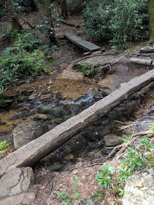 Stover Creek Shelter Picture 2