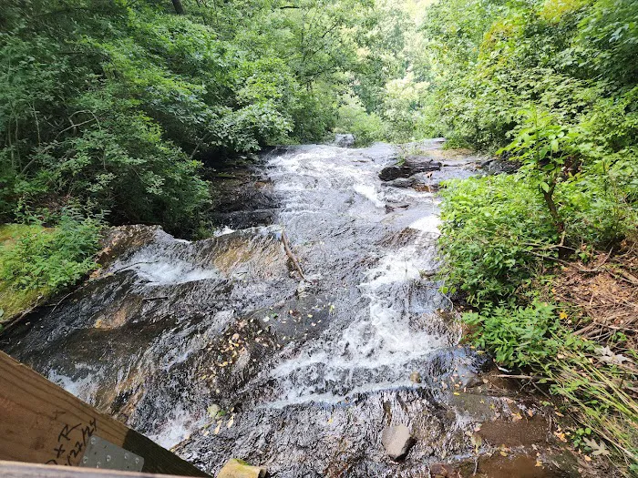 Amicalola Falls Campground Picture 2