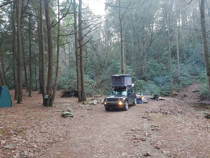 Three Forks USFS 58 4.3 Picture 6