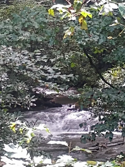 Frank Gross Recreation Area Picture 6