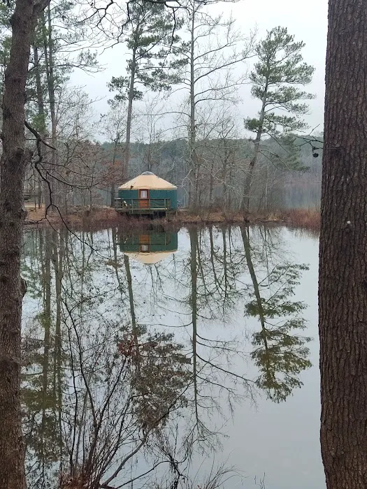 Yurt Village Picture 5