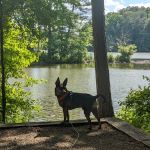 Fort Yargo State Park Campground