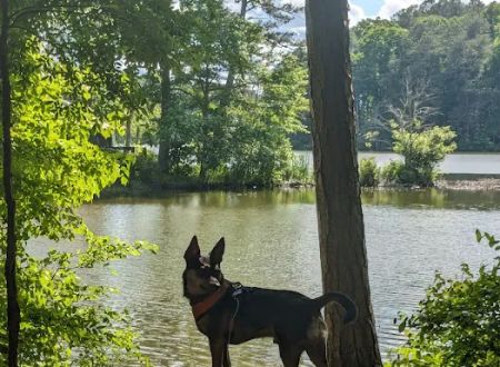 Fort Yargo State Park Campground
