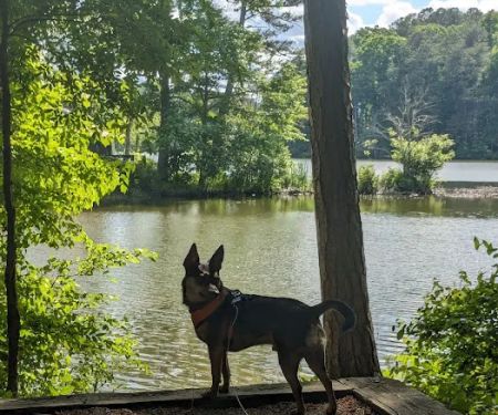 Fort Yargo State Park Campground
