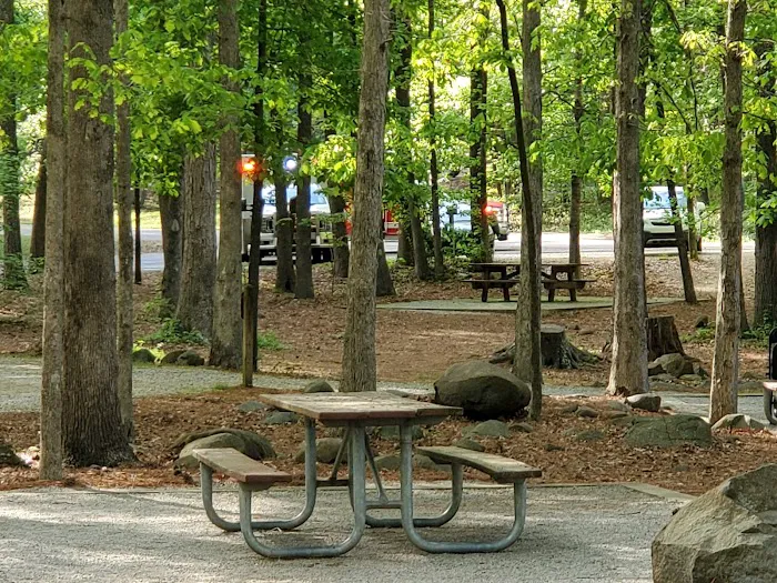 Campground #2, sites 28-40 Picture 3