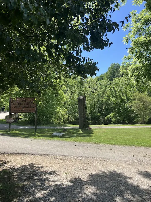 Talona Creek Campground Picture 1